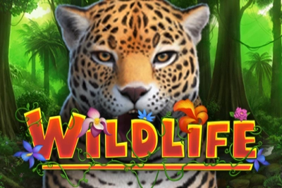 04801 wildlife